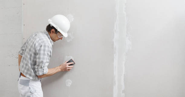 Best Commercial Mold Inspection  in Quincy, FL